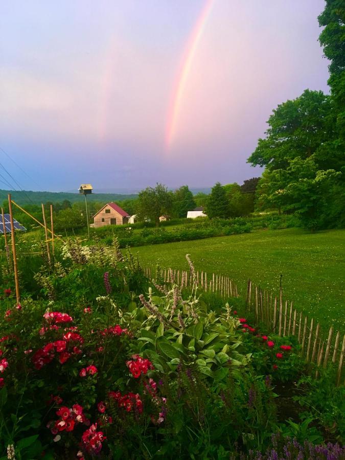 Enfield Manor Bed&Breakfast And Vacation Rental Newfield Exterior photo