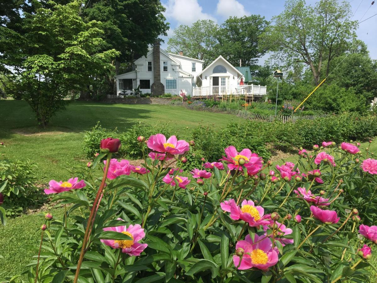Enfield Manor Bed&Breakfast And Vacation Rental Newfield Exterior photo