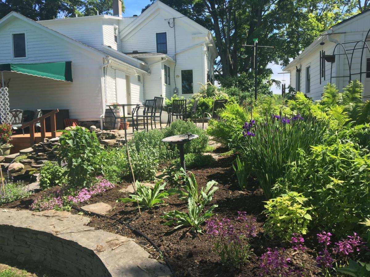 Enfield Manor Bed&Breakfast And Vacation Rental Newfield Exterior photo